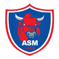 Stade Métropolitain - Logo Mâcon
